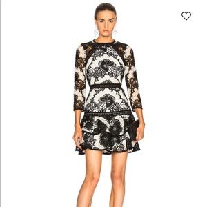 Alexis Sheena Flare Lace Dress